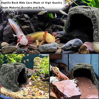 HIDEOUT DAC National Geographic おまけ付 Amazon.com : BNOSDM Reptile Hideout,Large Tortoise Hide Cave